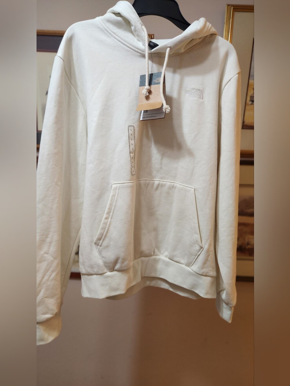 NWT The Northface Mens Evolution Hoodie